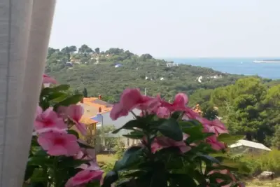 Image de Appartement Avec Balcon Et Vue Mer Pour 2 + 2 Dans Le Quartier Calme