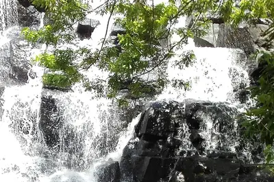 Image de Venez profiter de vos vacances près de la nature