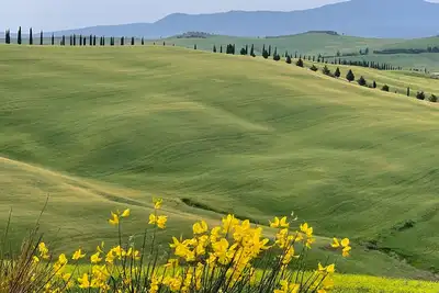 Image de Profitez de vacances classiques dans la ville de la colline toscane
