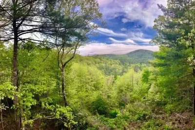 Image de Pumpkin Hill sur Little Bear Pen - trois niveaux avec vue!