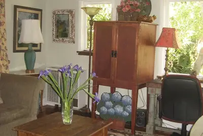 Image de Escapade dans la cime des arbres isolée