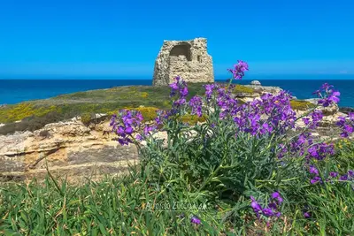 Image de Villetta Cati. Vue sur la mer avec jardin et parking. Idéal pour 2 familles