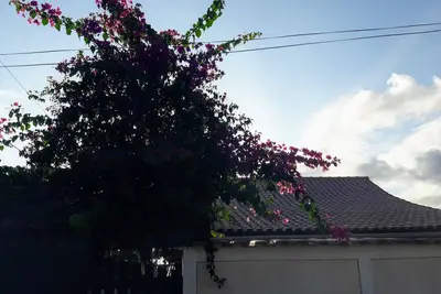 Image de Maison à 2 pâtés de maisons de la plage de Jaconé, rue principale à 5 minutes des principaux commerces