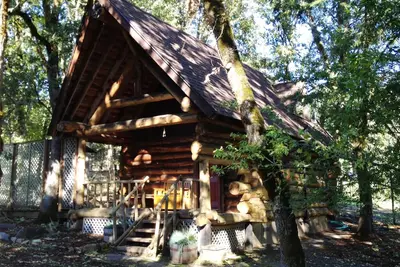 Image de Petite cabane en rondins dans les bois!