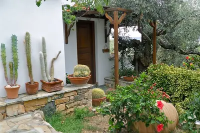 Image de Cactus - Maisons de fleurs (Maisons Christou) sur l'île d'Alonissos