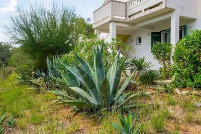 Image de Appartement de vacances nur 70 m de la mer