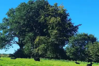 Image de Annexe de ferme - récemment rénové à un niveau élevé sur le bord d'Exmoor