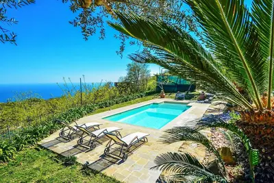 Image de Quality villa with private pool surrounded by flower and plants in Sorrentocoast