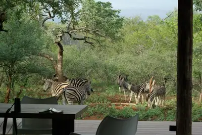 Image de Maison exclusive dans un domaine animalier près du parc Kruger