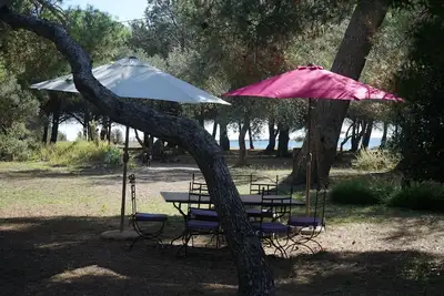 Image de Joli mas au bord de l'étang de Thau