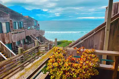 Image de Vous Ne Voulez Pas Quitter!