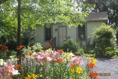 Image de Le Cottage jaune sur Harnais Creek