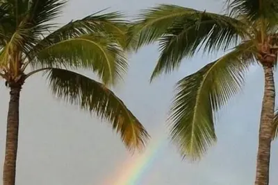 Image de Aaa abordable, magnifique. Condo romantique en bord de mer