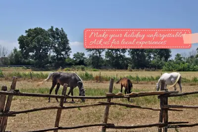 Immergé dans la nature à deux pas de la mer