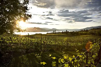 Image de Superbe suite dans le vignoble de Gjoa situé au cœur du banc de Naramata