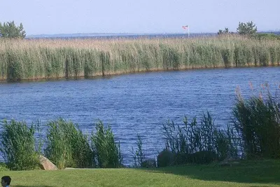 Image de Dog Friendly Qeba Private Beach Home w / Beautiful Views-