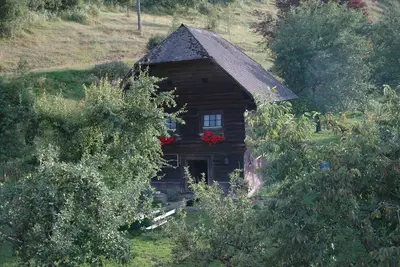 Image de Chalet coquet à la ferme, en Carinthie, grand étang, animaux acceptés