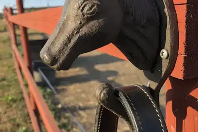 Image de Vivre dans une ferme équestre