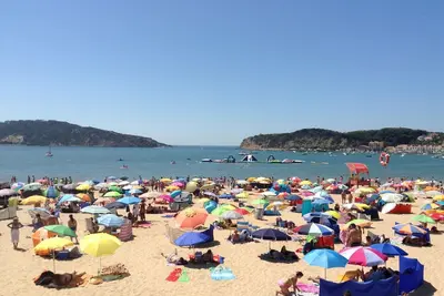 Image de Maison traditionnelle portugaise à distance de marche de la plage, avec Wifi.