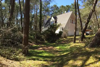 Image de Condette-Hardelot, villa spacieuse sur une pinède de 3000m2, attenante forêt