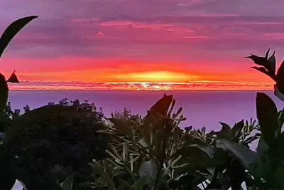Image de Palmer : F3 Vue panoramique sur la Mer 1-4 personnes