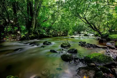 Image de Nouvelle Annonce Creekside Cabin Retreat