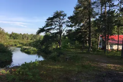 Image de Rivers Edge / Off Grid / Bird Observation Summer Paradise