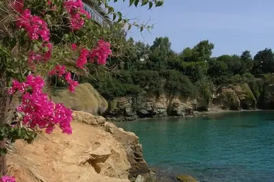 Image de Appartement à côté de la plage