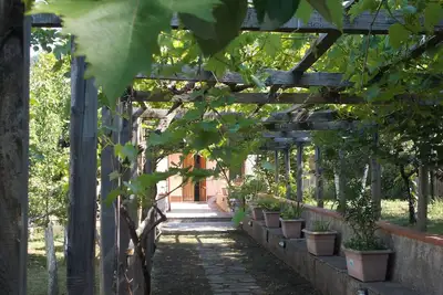 Image de Gîte rural entouré de verdure