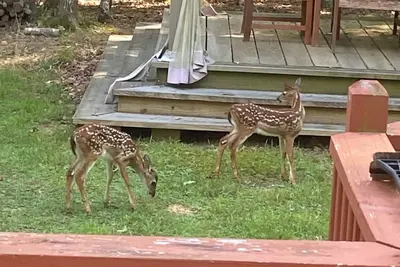 Image de Votre grand à emporter!