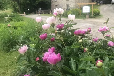 Image de Rustic Inn in the Shaker Tradition