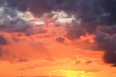 Image de Grand calme Beach House dans le Triangle d'or Coronado