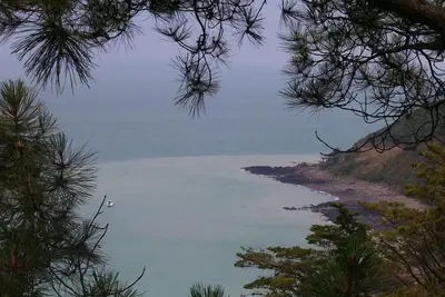 Image de Maison familiale  avec vue exceptionnelle sur la baie du Mont St Michel