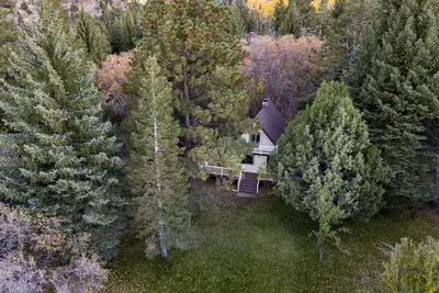 Image de Propriété forestière cachée de pins cachés avec ruisseau sur 3 acres et cabane rénovée