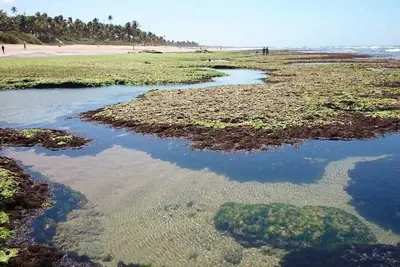 Image de Villa confortable à 200 m d'une belle plage