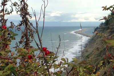 Image de Peacock Pad: Maison propre et confortable avec un sentier de plage entre Sequim et Pa