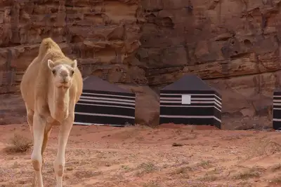 Image de Wadi Rum Desert Tours Camp