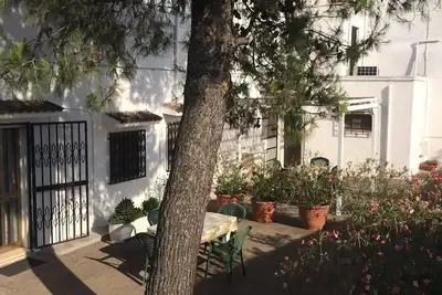 Image de Appartement le laurier-rose, à 8 km de la mer et à 15 km d'Ostuni