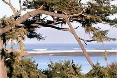 Image de Mad River Front Avec Une Vue Imprenable Sur L'OCÉAN, SÉRÉNITÉ Et PRIVÉ
