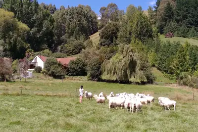 Image de Spectacular Hope Farm Stay