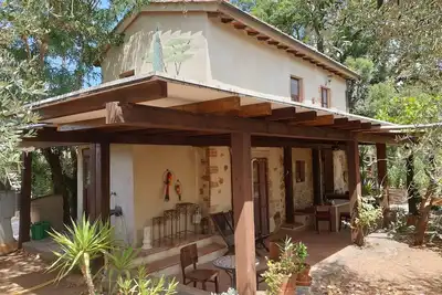 Image de Maison en pierre sur une grande oliveraie