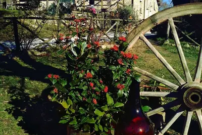 Image de Casale Avec 4 Appartements