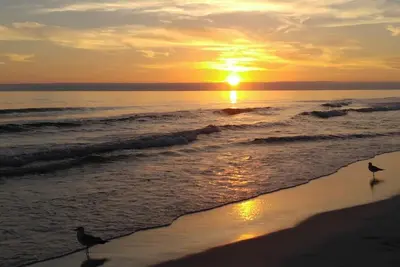 Image de Lazy Days # 801 Bright Nouvelle cuisine mise à jour