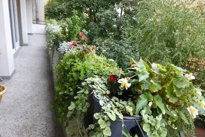 Image de Couple et famille sympathique avec belle terrasse.