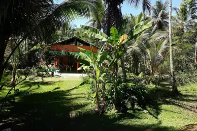 Image de Maison au milieu des bois au centre ville