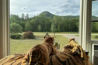 Image de Maison familiale de White Mountain - Rivière Rushing, chemin privé, calme, peut-être neige.