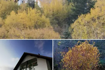 Image de Appartement de vacances Borzonasca pour 1 - 5 personnes avec 1 chambre à coucher - Appartement de va