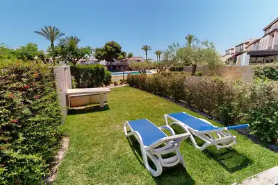 Image de Camelia Les Oliveres