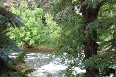 Image de 5br, 4 1/2 Ba Retraite pour chiens. Proche de tout! Sur la rivière Eagle