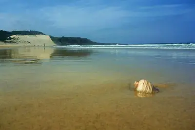Image de Kick Back Beach Shack @ Forster